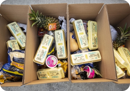 Food Assistance